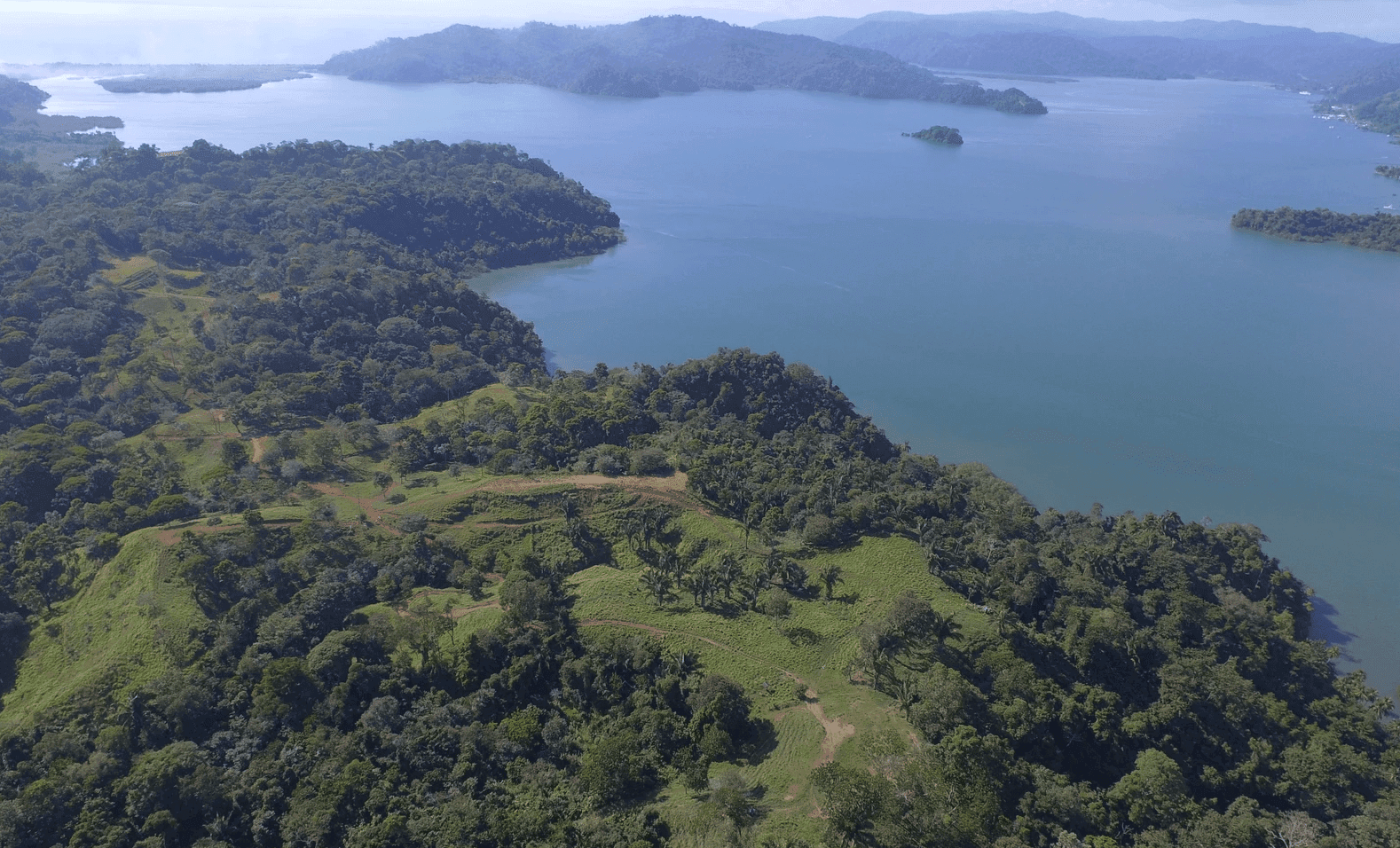 Screenshot 2024-06-11 at 8.02.32-min