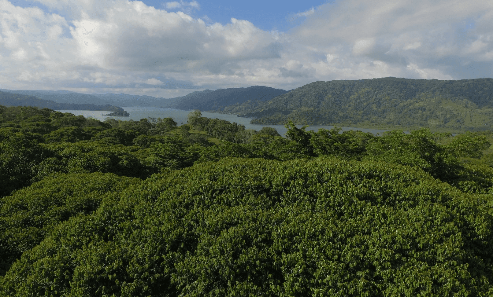 Screenshot 2024-06-11 at 8.02.40-min