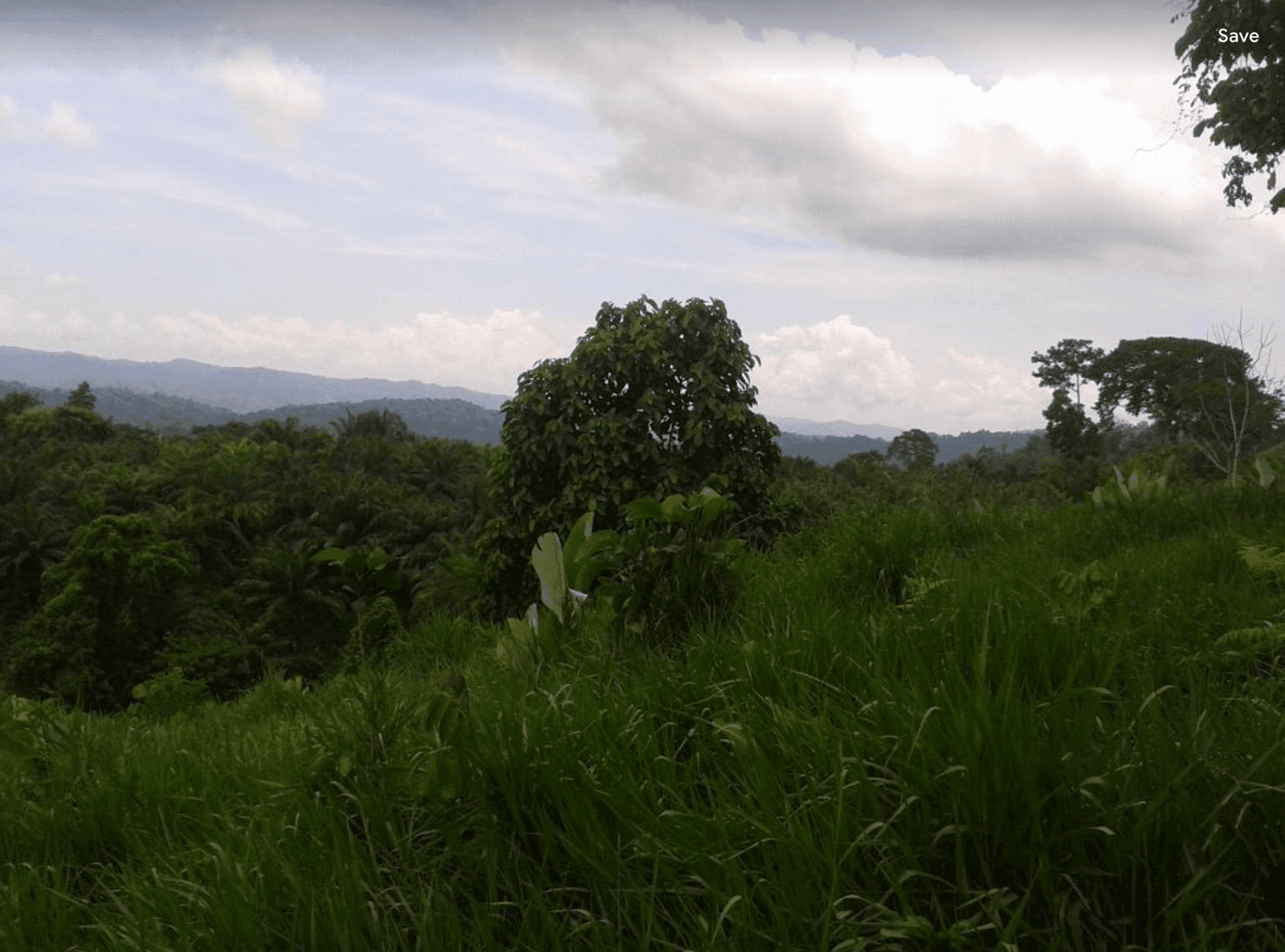 Screenshot 2024-06-16 at 11.21.03-min