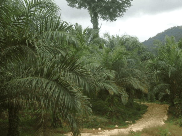 Screenshot 2024-06-16 at 11.21.46-min