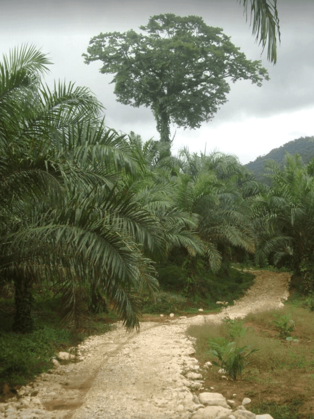 Screenshot 2024-06-16 at 11.21.46-min