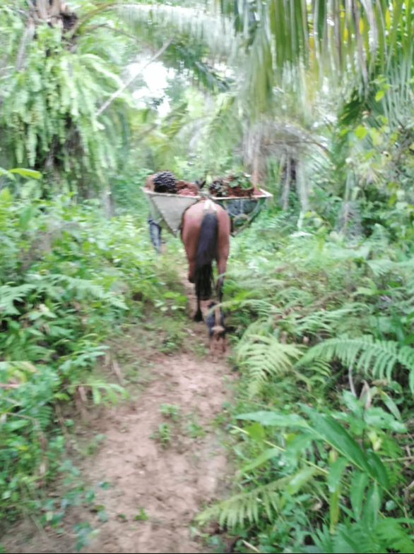 Screenshot 2024-06-16 at 11.22.03-min