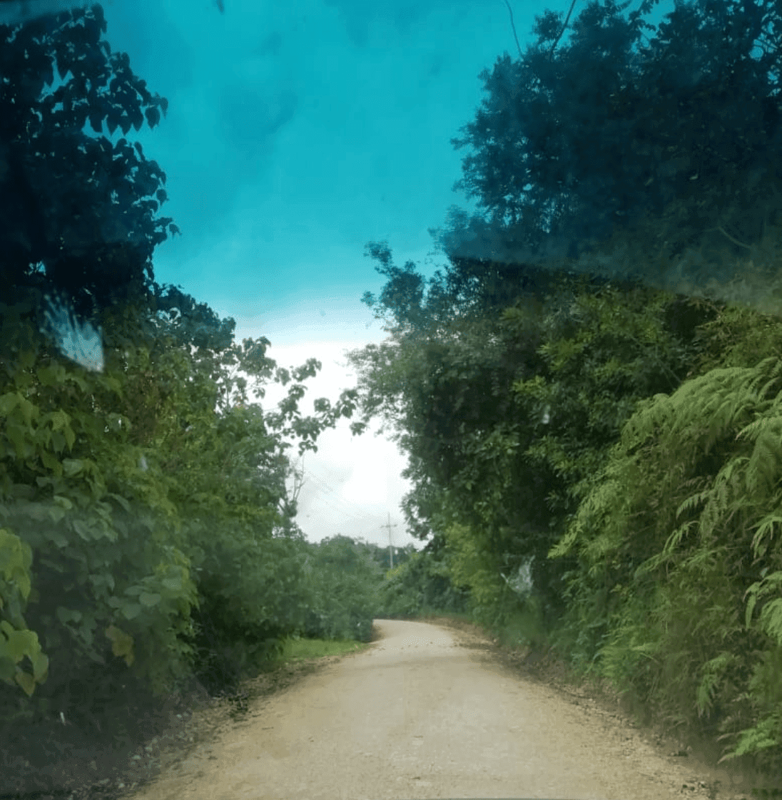 Screenshot 2024-06-16 at 11.22.12-min