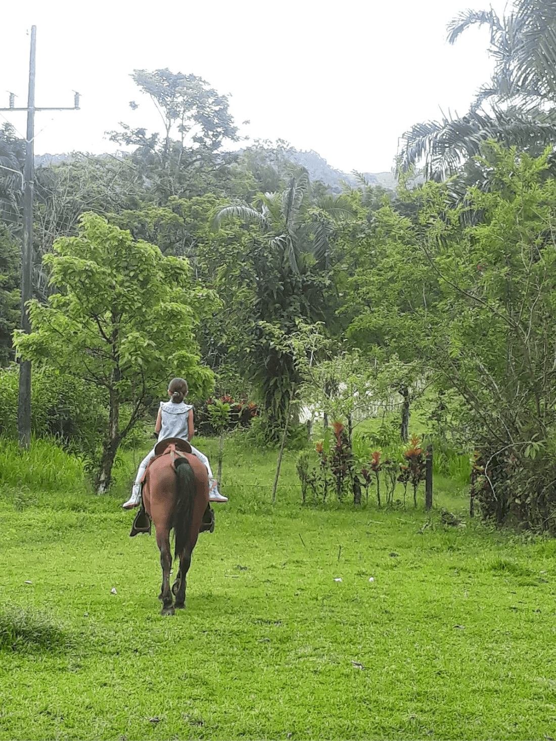 Screenshot 2024-06-16 at 11.22.20-min