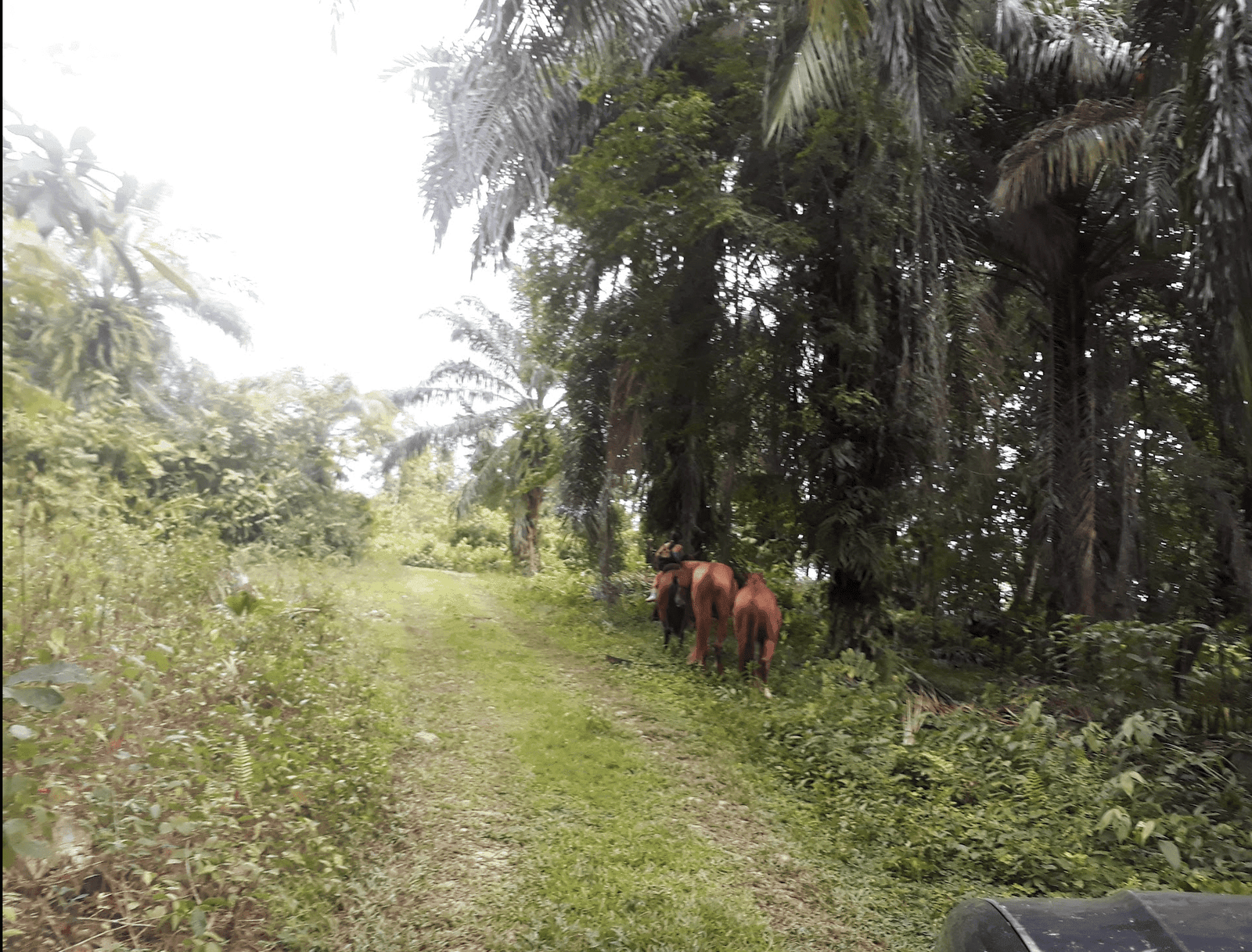 Screenshot 2024-06-16 at 11.22.33-min