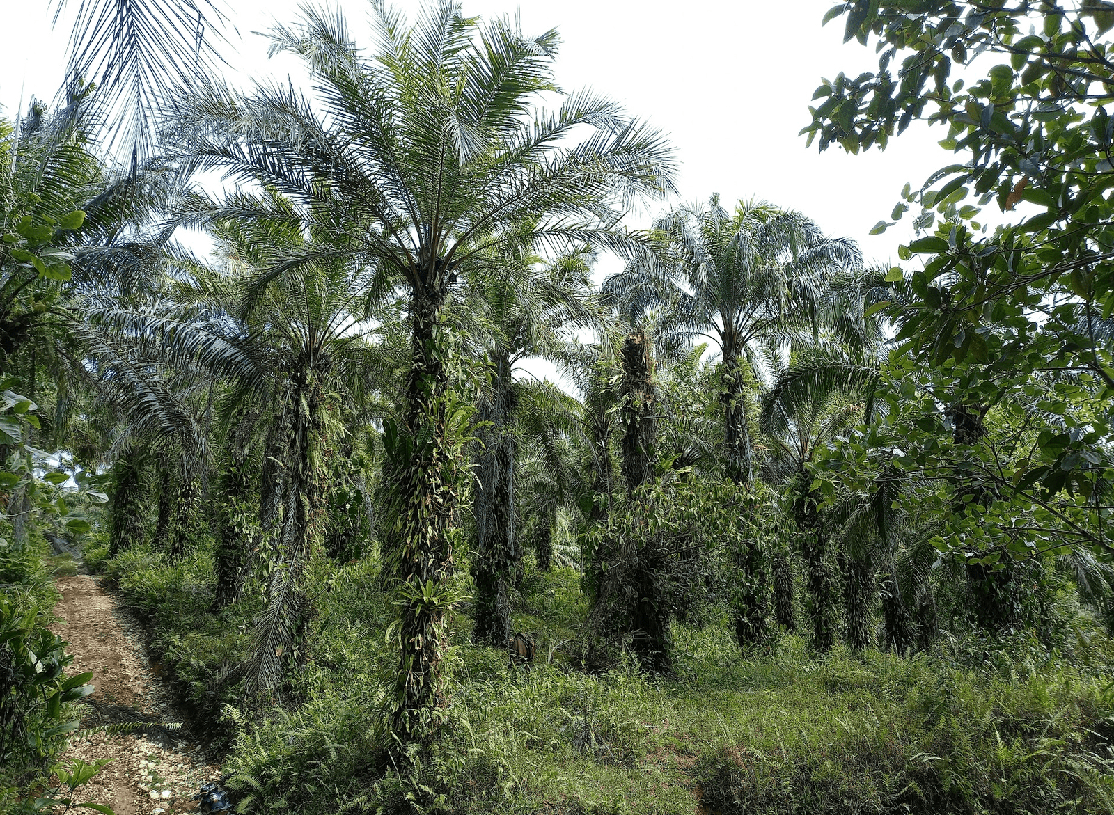 Screenshot 2024-06-16 at 11.22.55-min