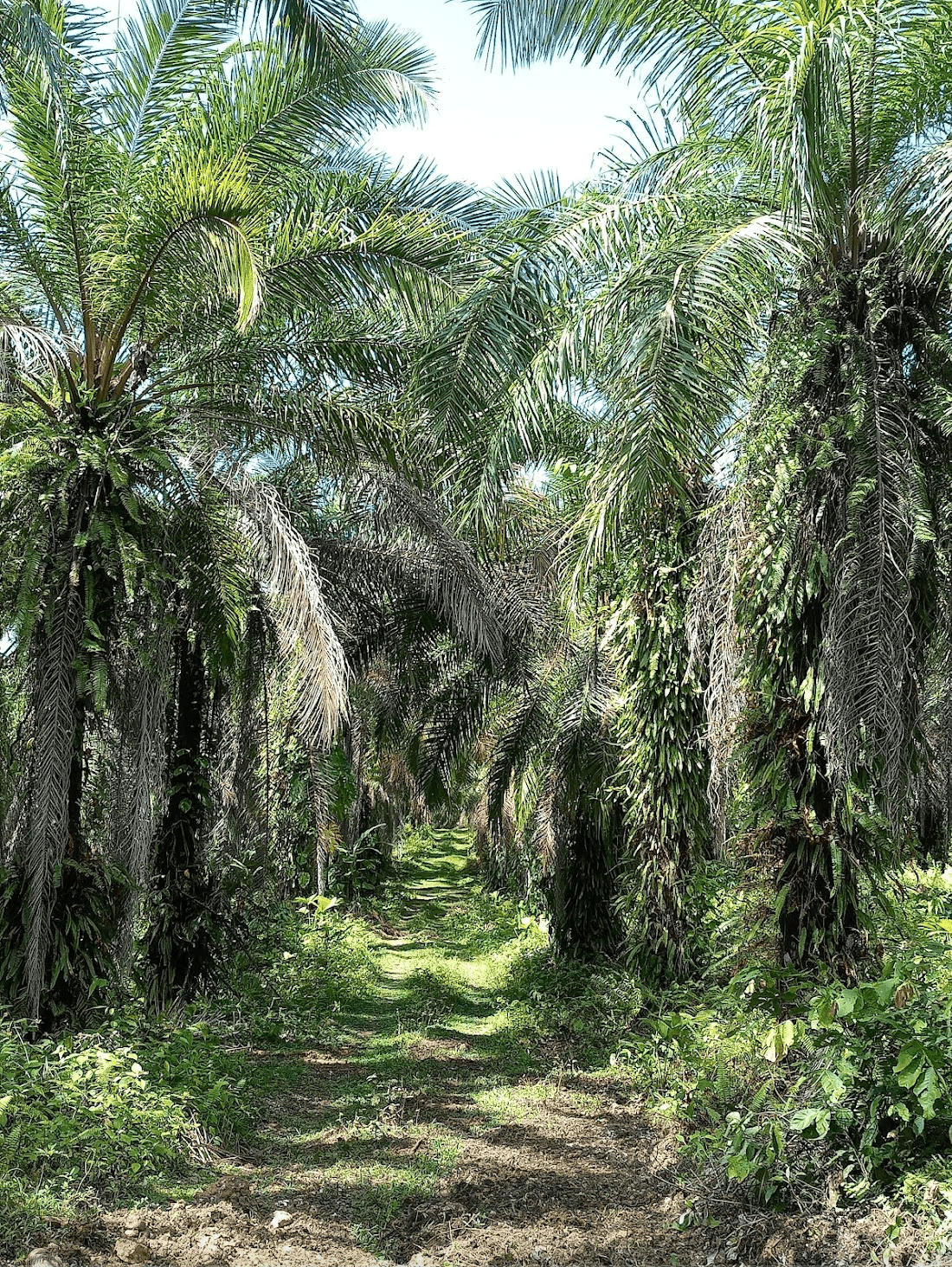 Screenshot 2024-06-16 at 11.23.13-min