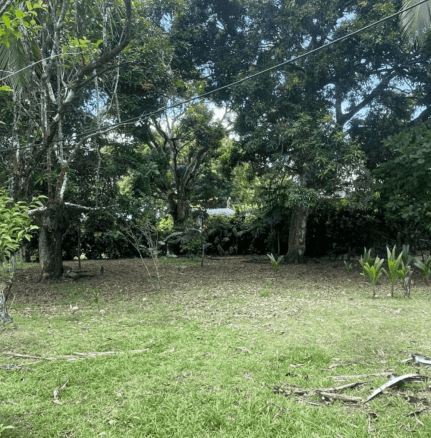 Screenshot 2024-06-17 at 10.05.52-min