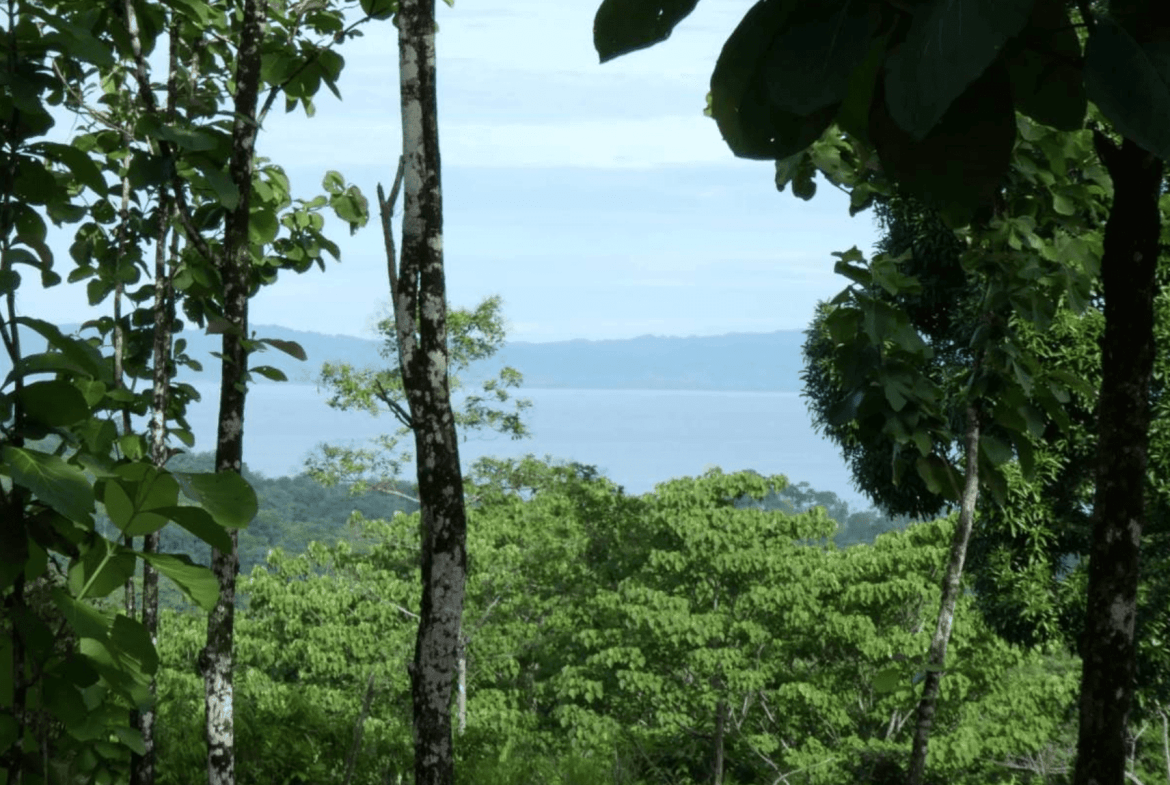 Screenshot 2024-06-17 at 10.11.23-min