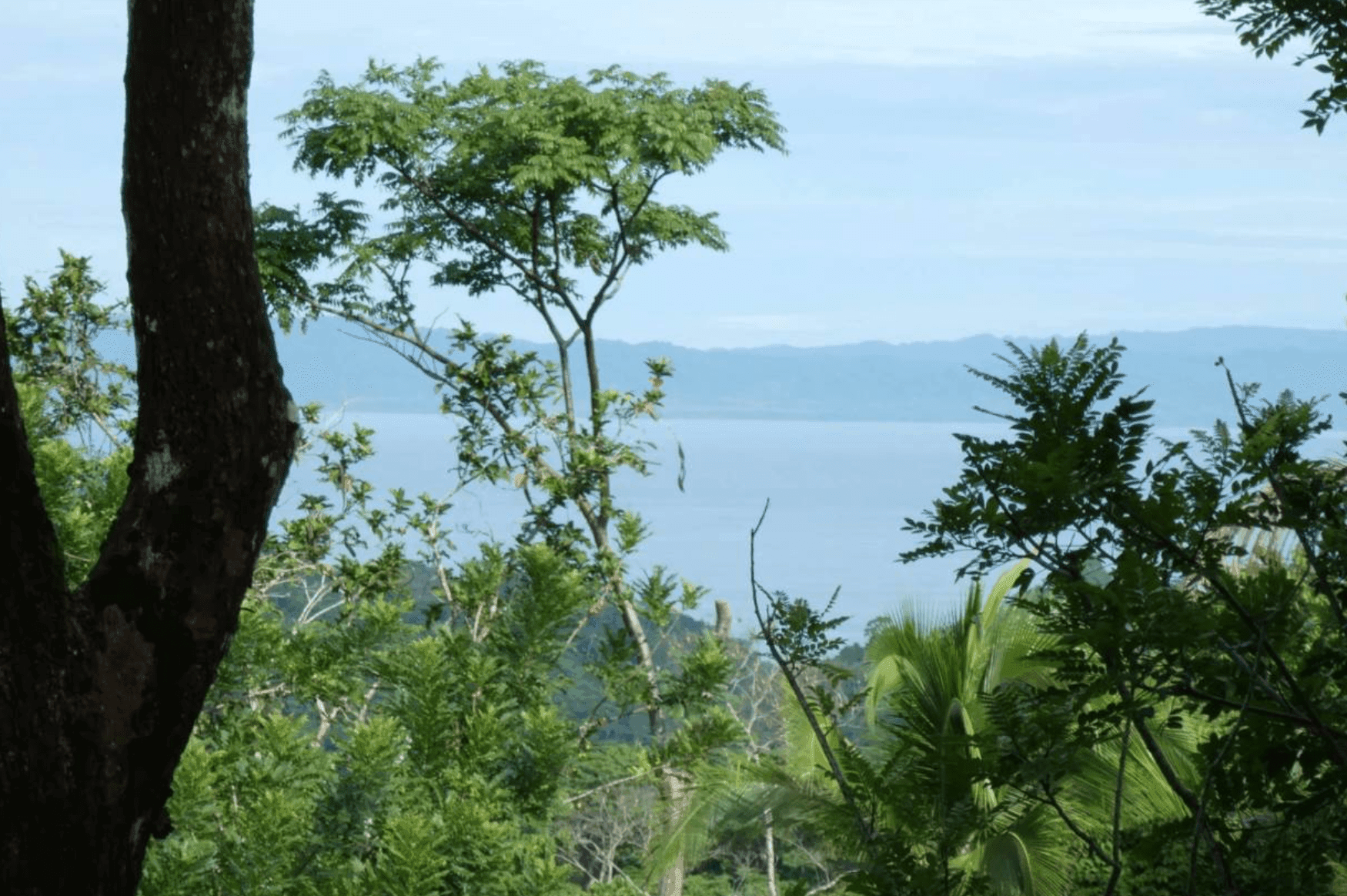 Screenshot 2024-06-17 at 10.11.31-min