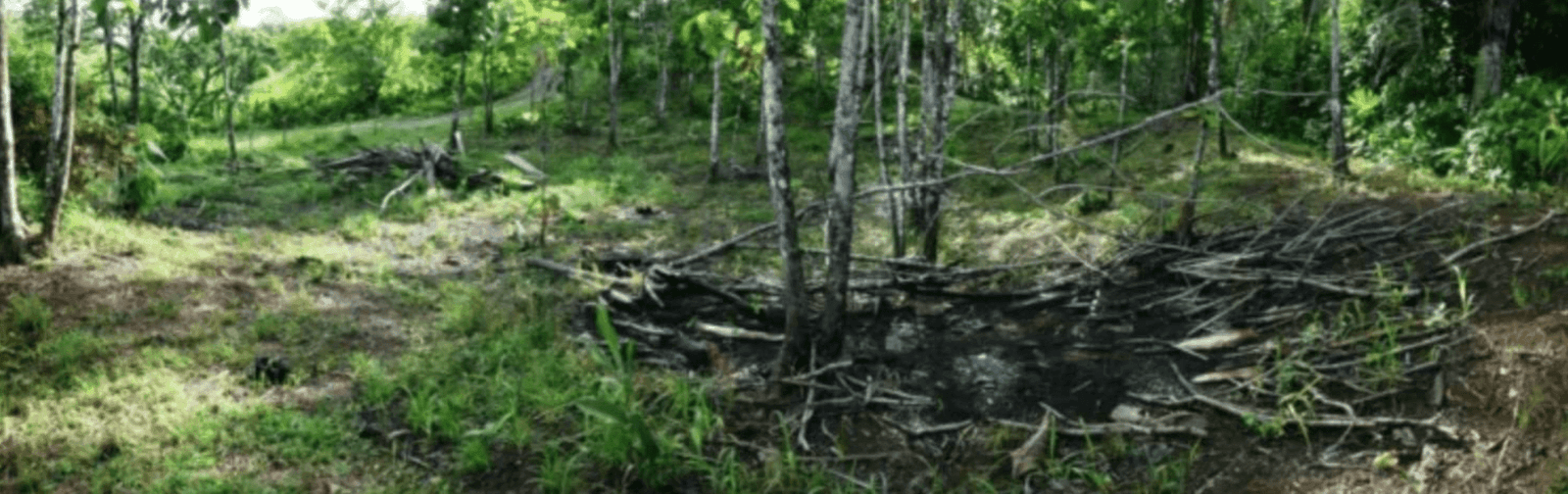 Screenshot 2024-06-17 at 10.11.47-min