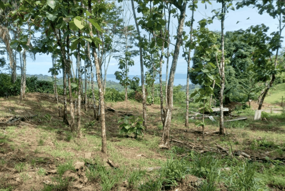 Screenshot 2024-06-17 at 10.12.19-min