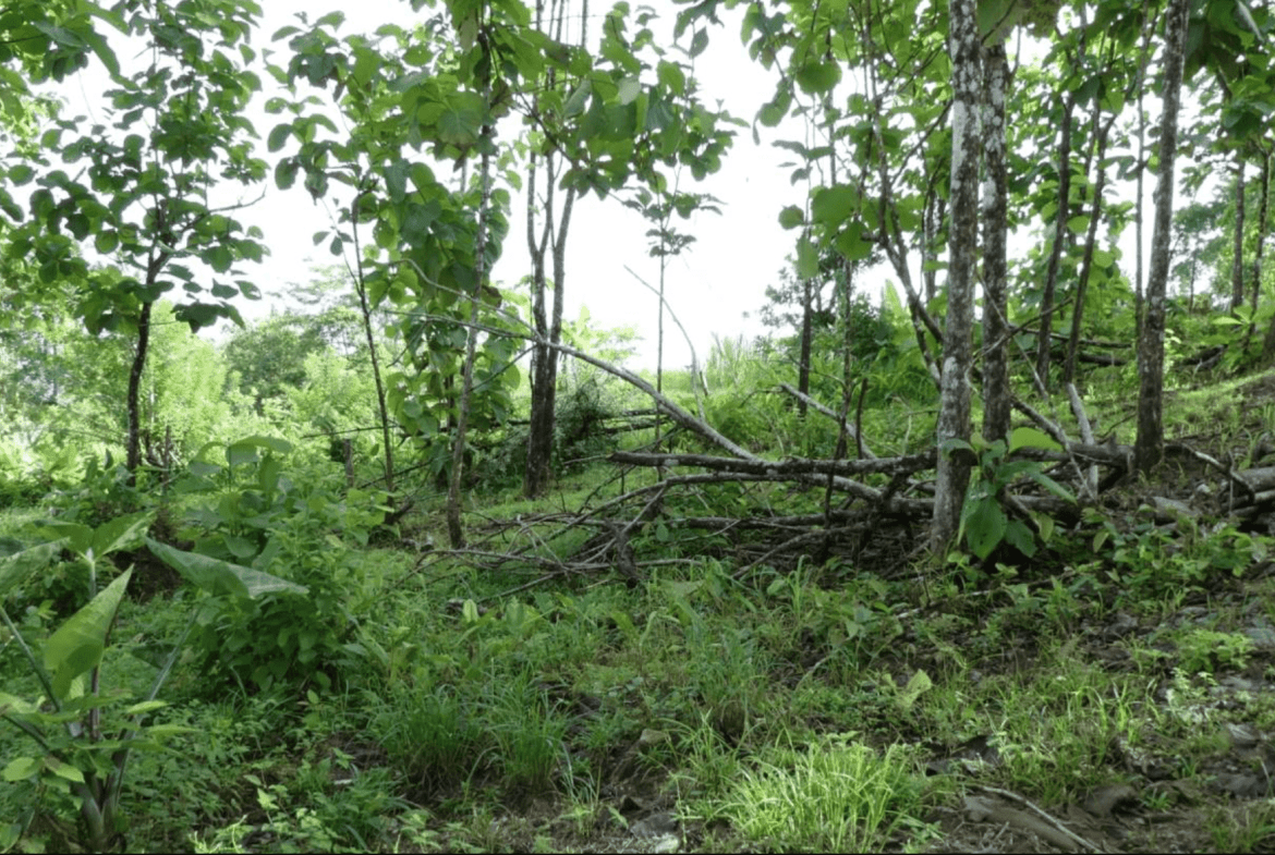 Screenshot 2024-06-17 at 10.12.26-min