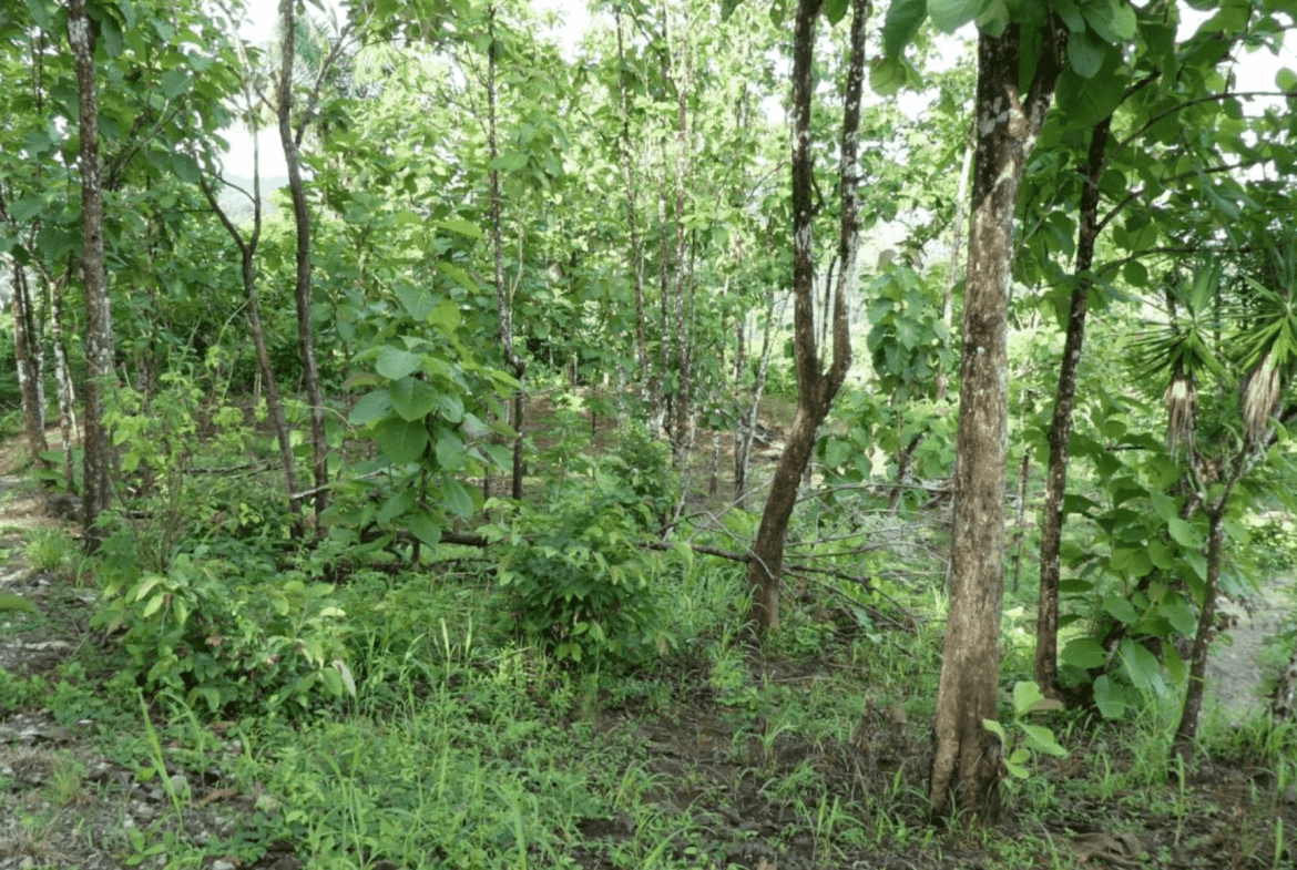 Screenshot 2024-06-17 at 10.12.40-min