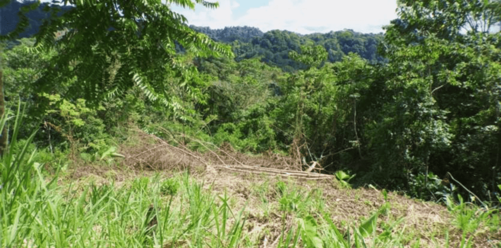 Screenshot 2024-06-17 at 10.18.06-min