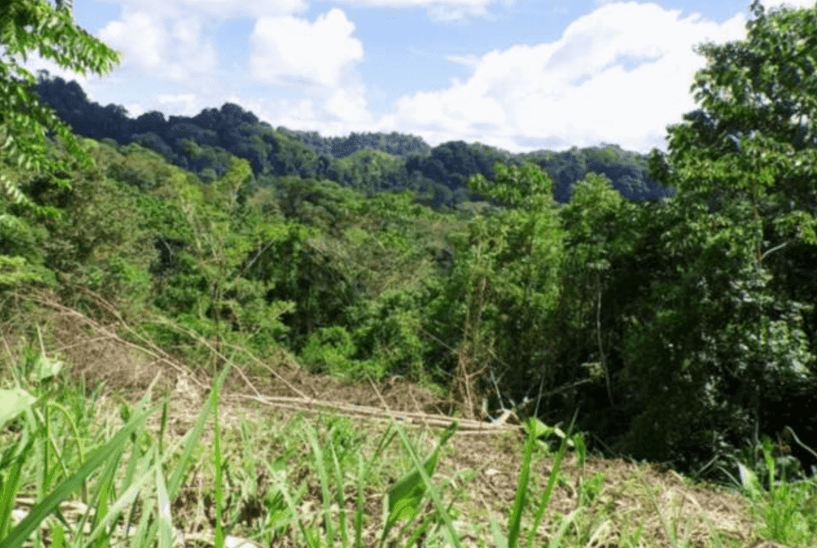 Screenshot 2024-06-17 at 10.18.12-min