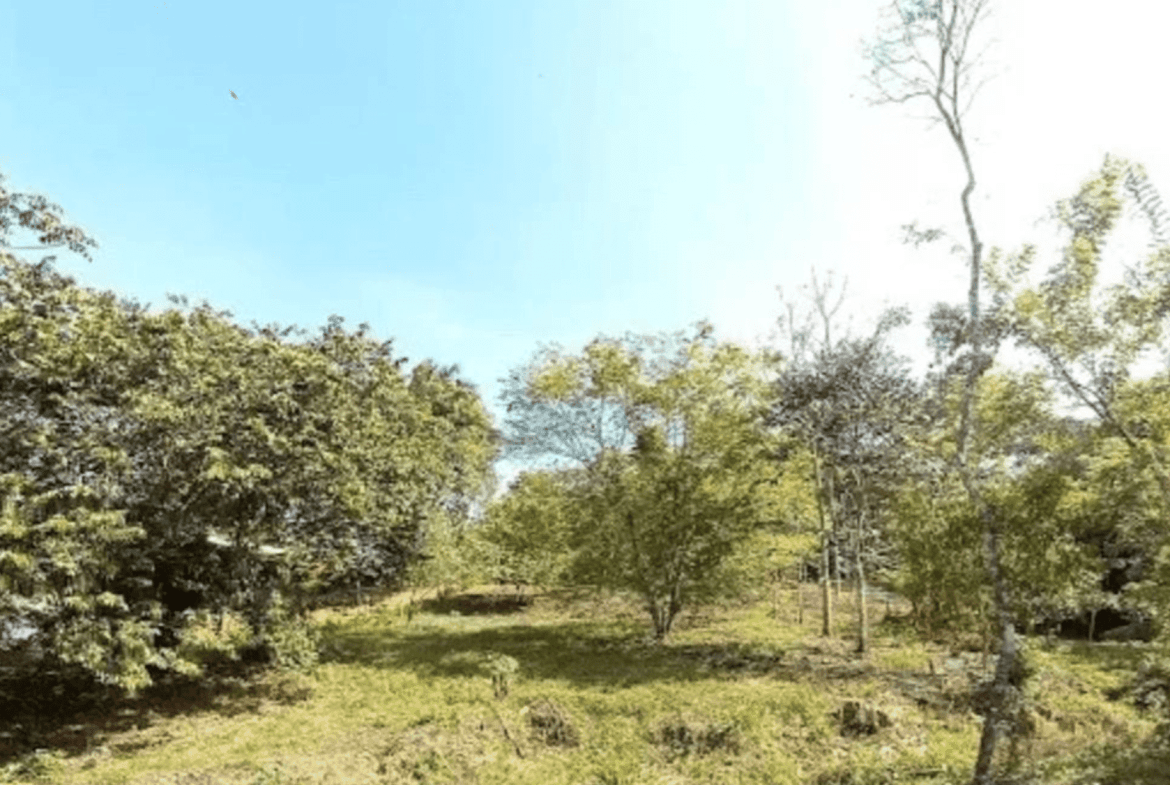 Screenshot 2024-06-17 at 10.29.26-min