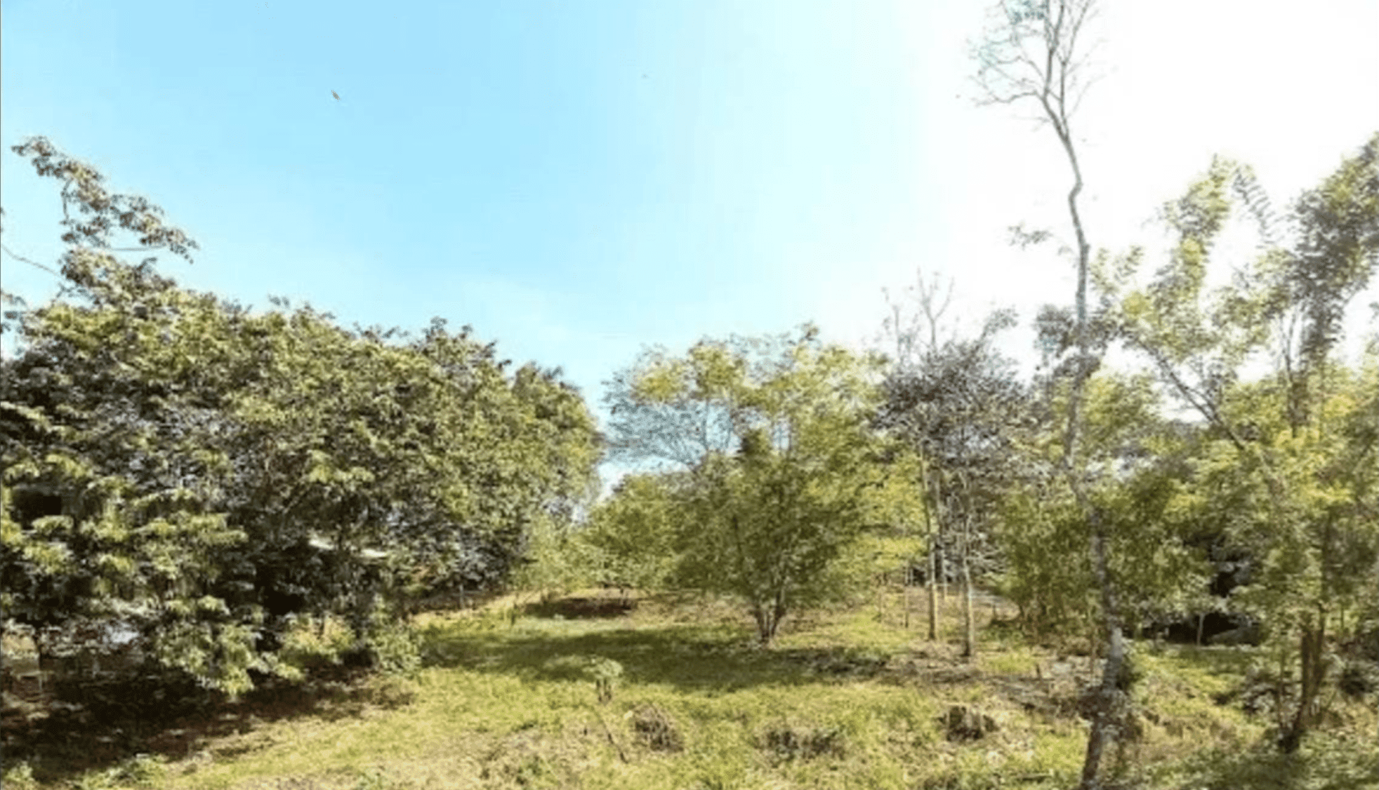 Screenshot 2024-06-17 at 10.29.26-min Screenshot 2024-06-17 at 10.29.26-min