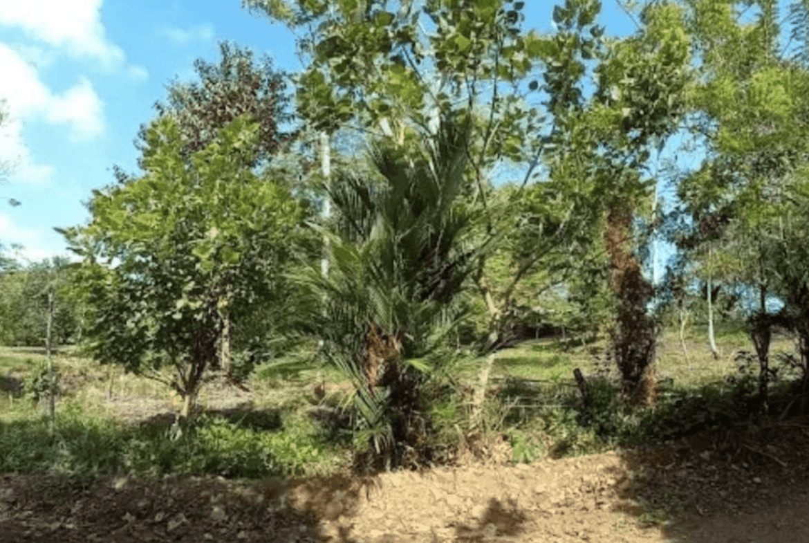 Screenshot 2024-06-17 at 10.29.41-min