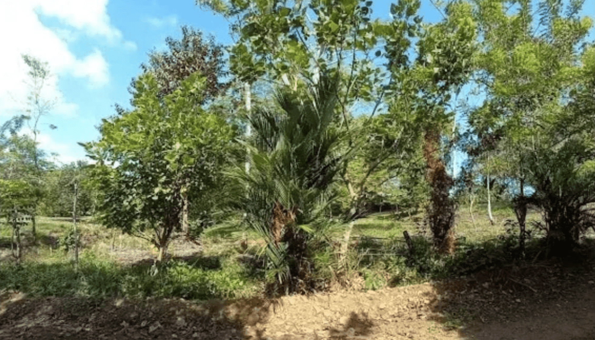 Screenshot 2024-06-17 at 10.29.41-min Screenshot 2024-06-17 at 10.29.41-min