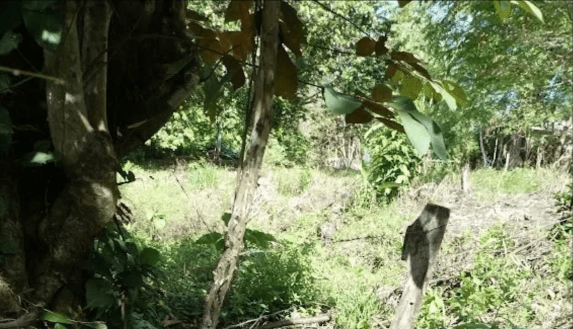 Screenshot 2024-06-17 at 10.30.03-min Screenshot 2024-06-17 at 10.30.03-min