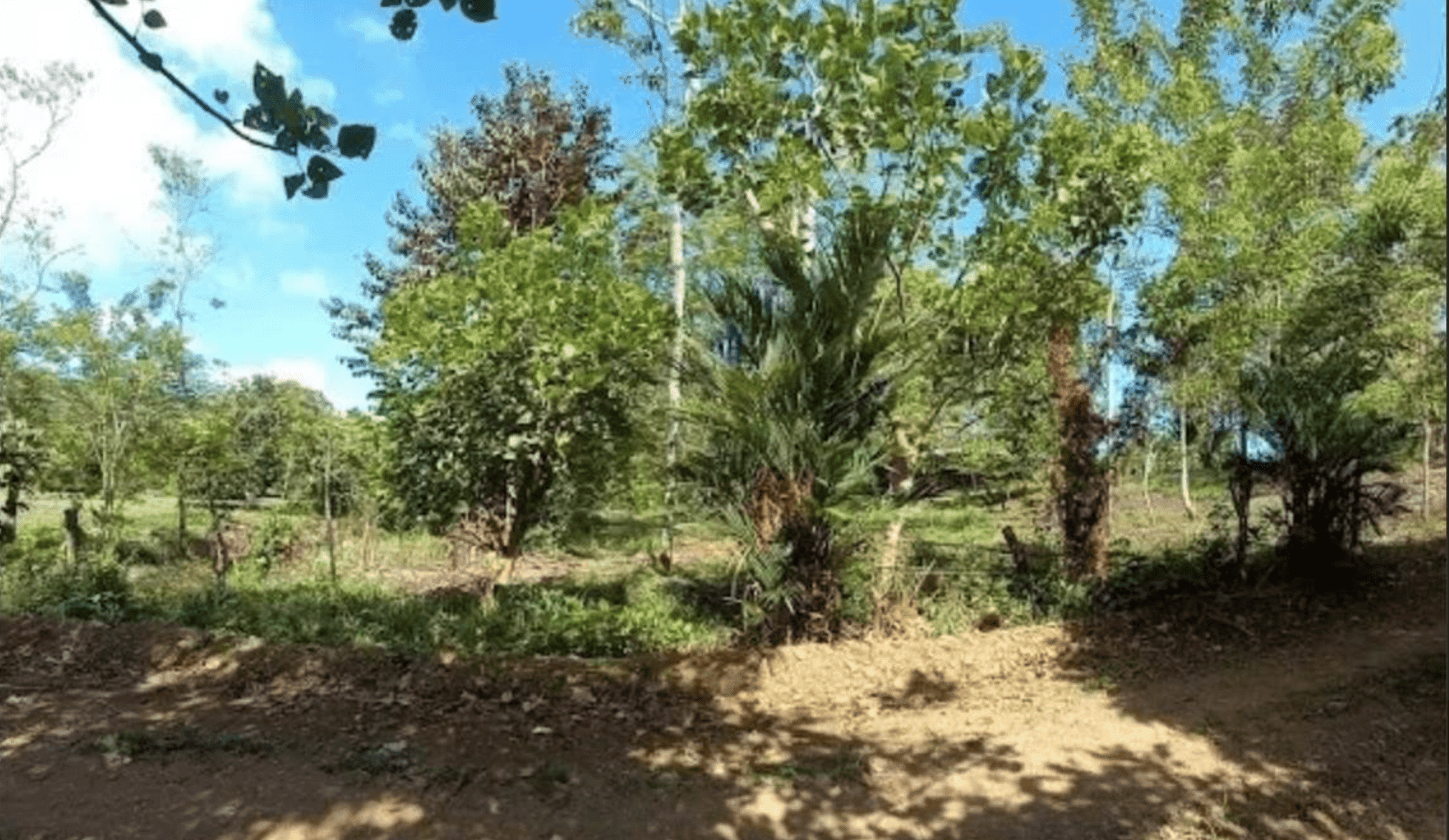 Screenshot 2024-06-17 at 10.30.10-min Screenshot 2024-06-17 at 10.30.10-min