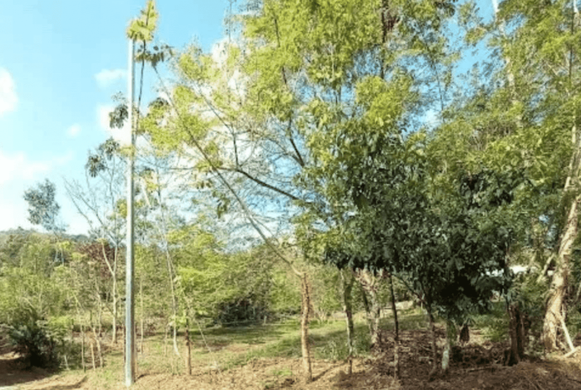 Screenshot 2024-06-17 at 10.30.17-min