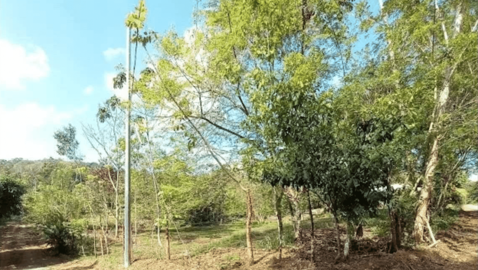 Screenshot 2024-06-17 at 10.30.17-min Screenshot 2024-06-17 at 10.30.17-min