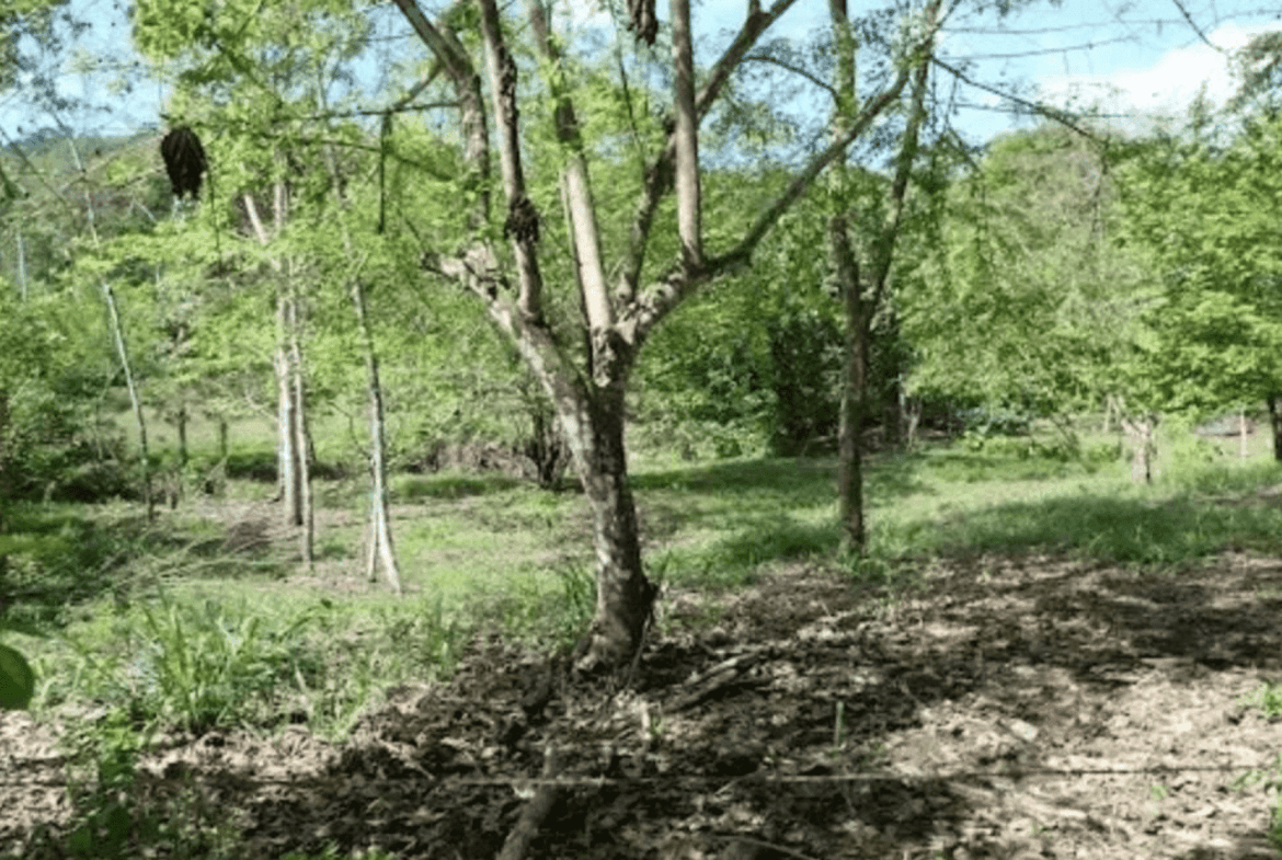 Screenshot 2024-06-17 at 10.30.25-min