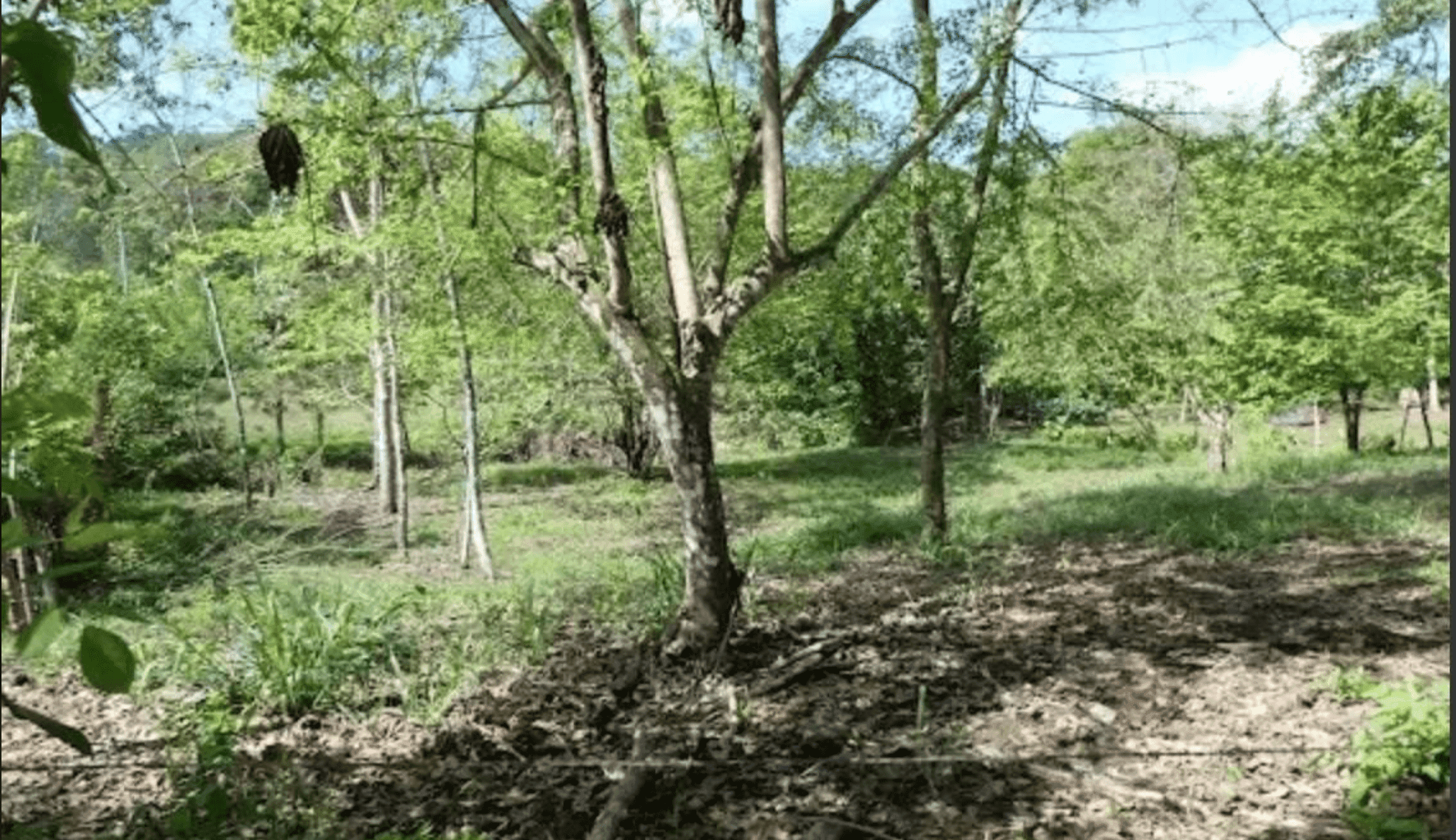 Screenshot 2024-06-17 at 10.30.25-min Screenshot 2024-06-17 at 10.30.25-min