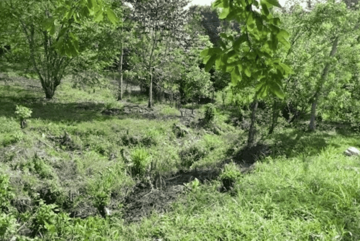 Screenshot 2024-06-17 at 10.30.32-min