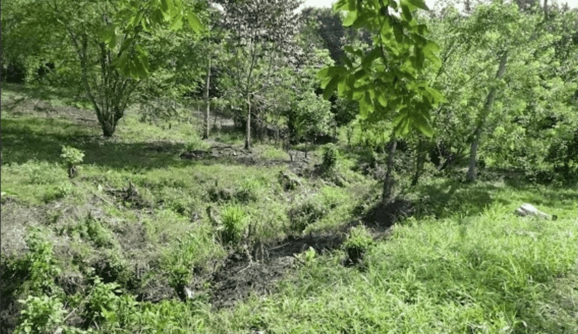 Screenshot 2024-06-17 at 10.30.32-min Screenshot 2024-06-17 at 10.30.32-min