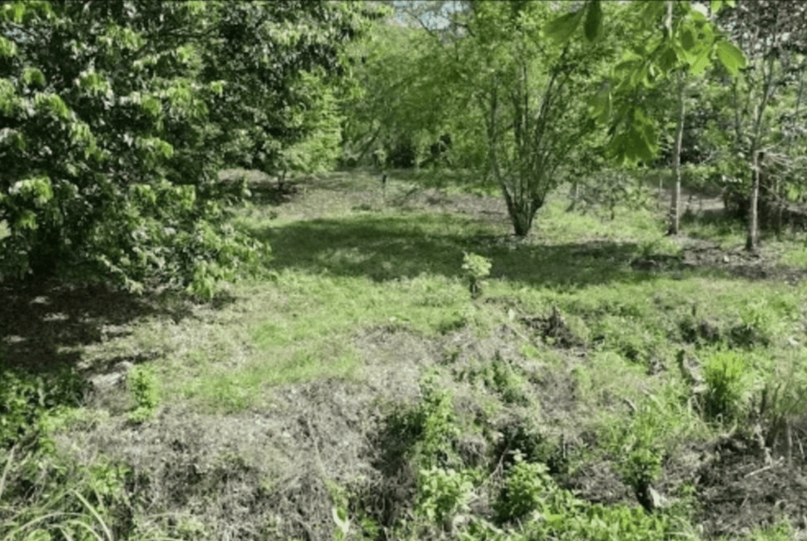 Screenshot 2024-06-17 at 10.30.40-min