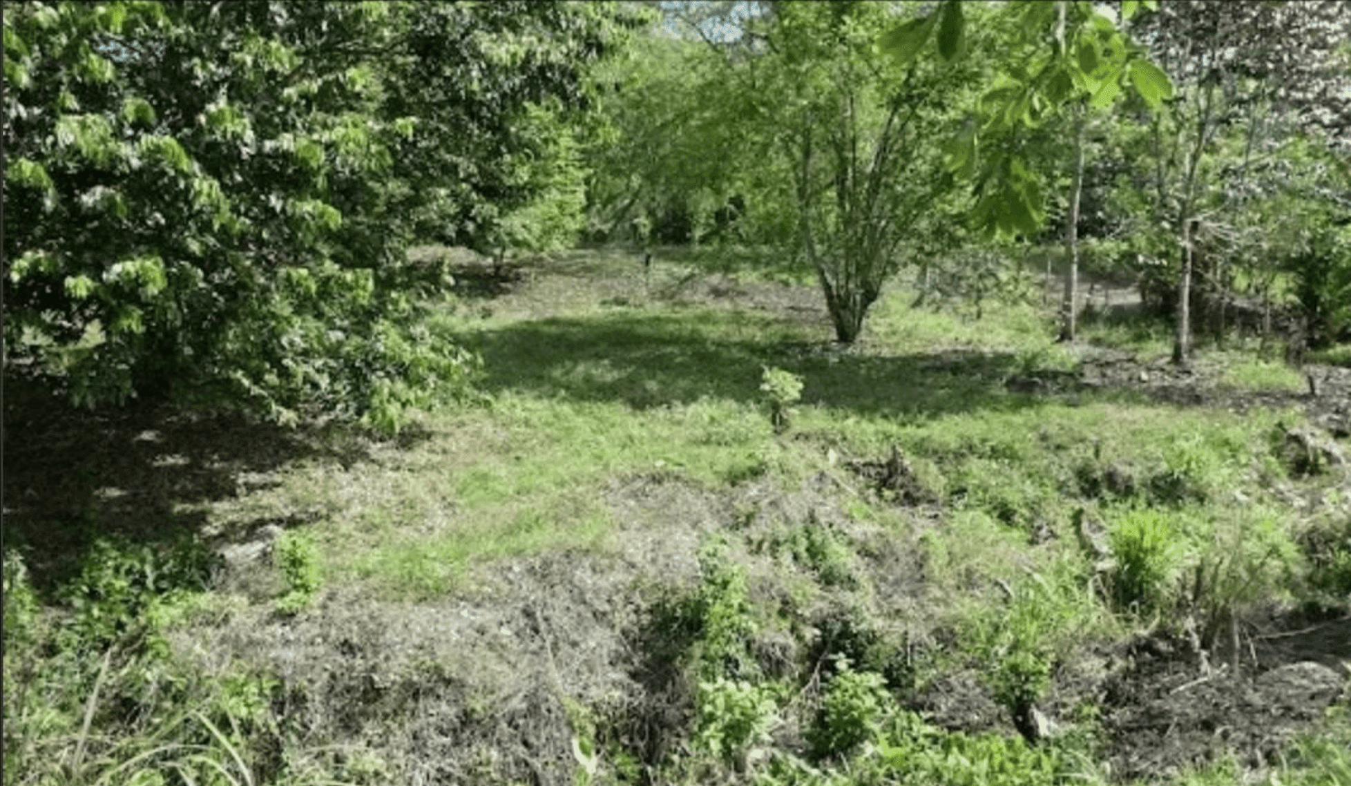 Screenshot 2024-06-17 at 10.30.40-min Screenshot 2024-06-17 at 10.30.40-min