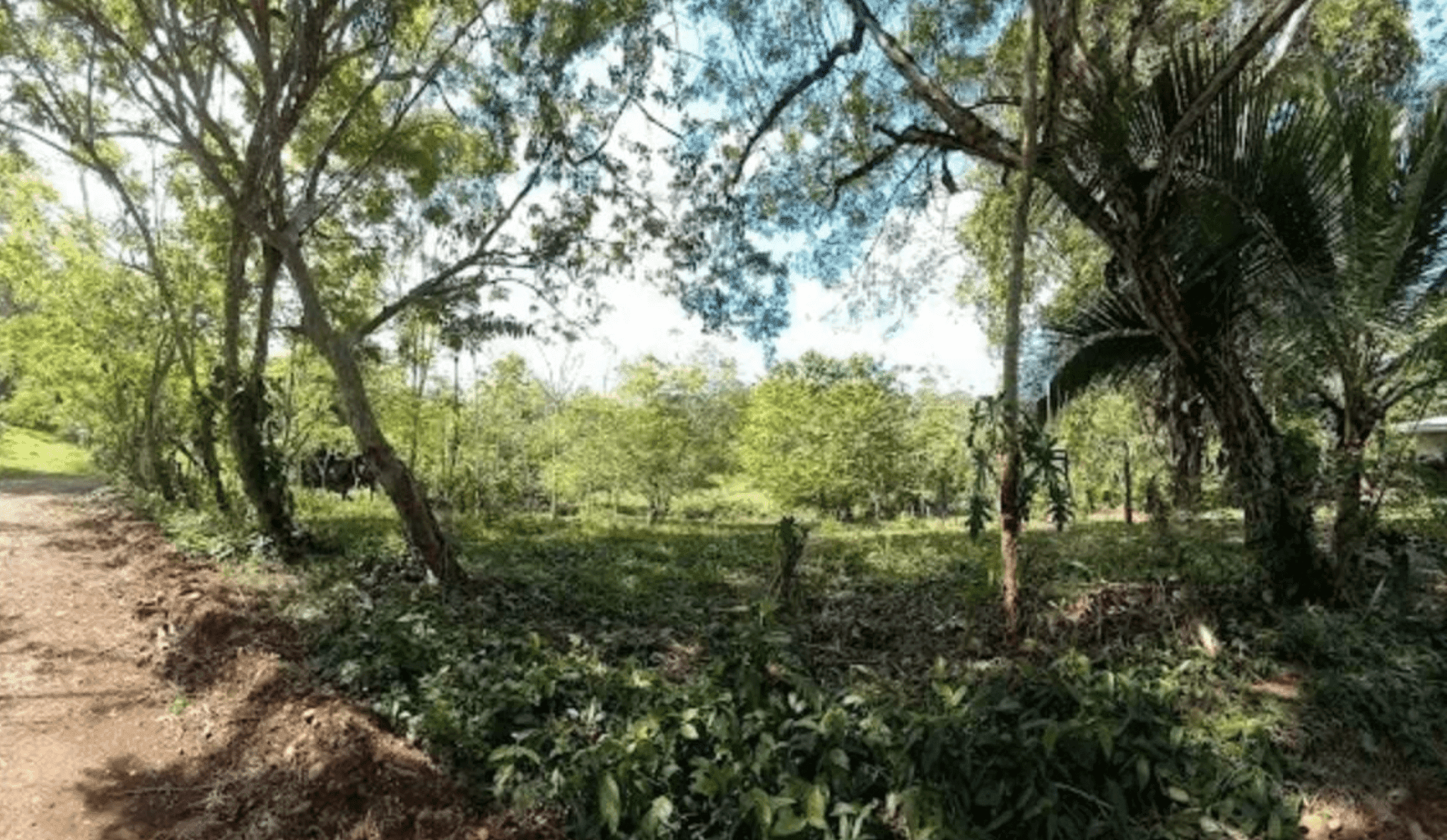 Screenshot 2024-06-17 at 10.30.46-min Screenshot 2024-06-17 at 10.30.46-min