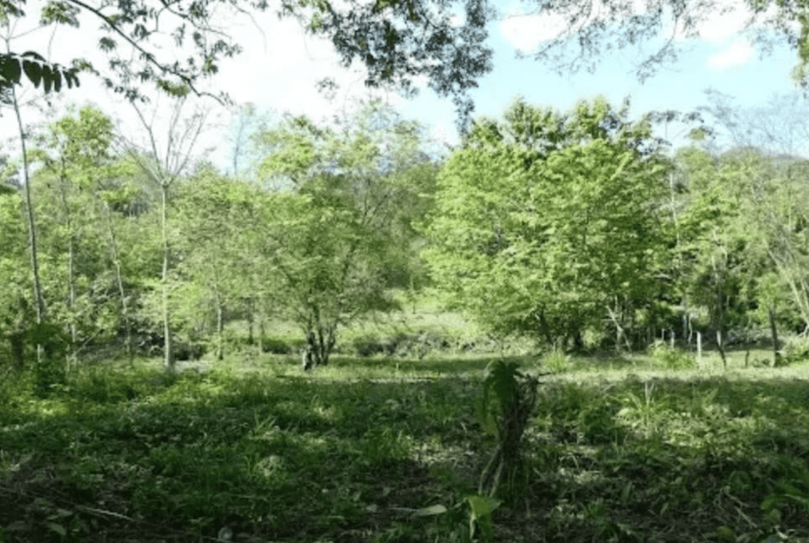 Screenshot 2024-06-17 at 10.30.54-min