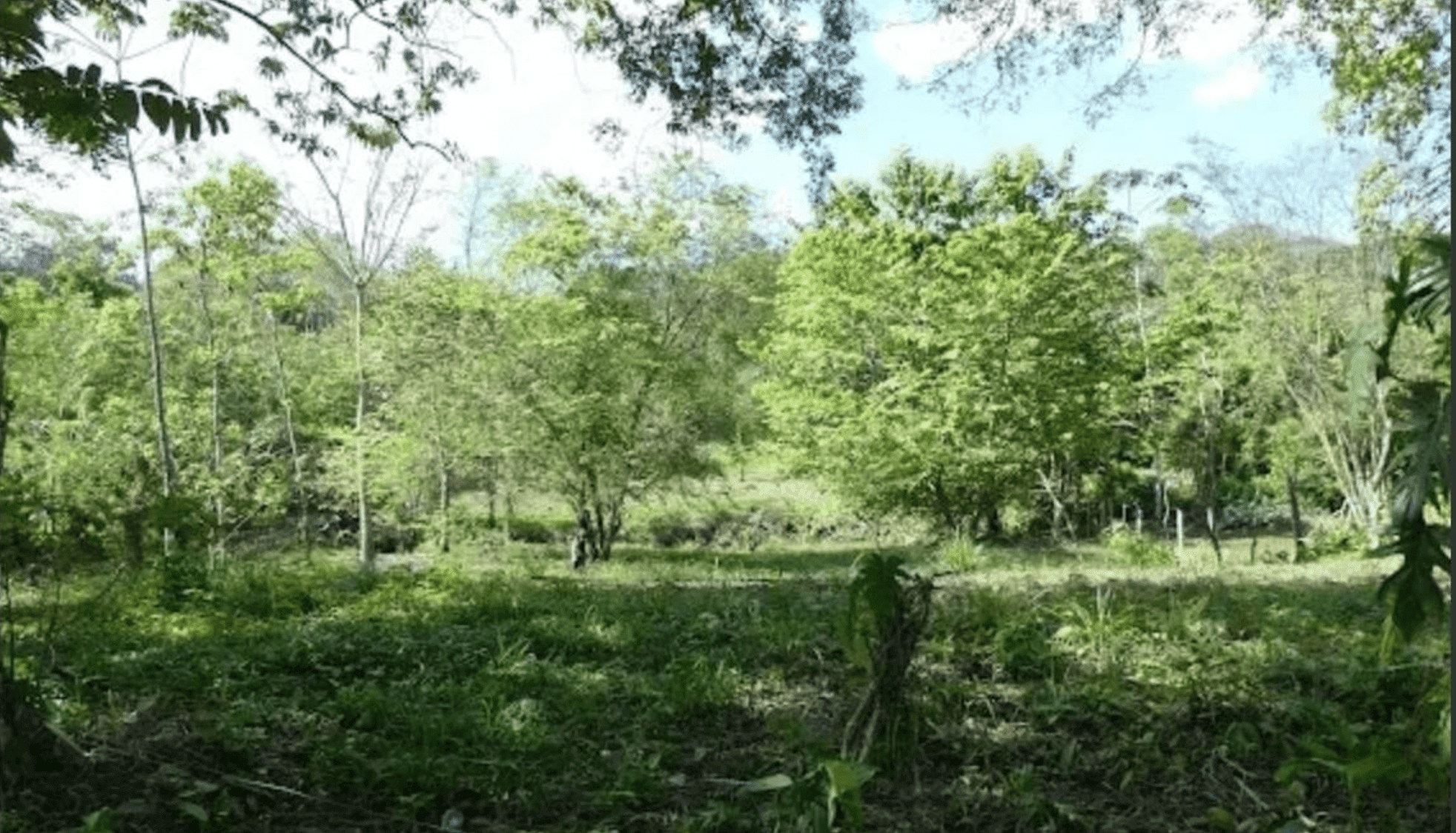 Screenshot 2024-06-17 at 10.30.54-min Screenshot 2024-06-17 at 10.30.54-min