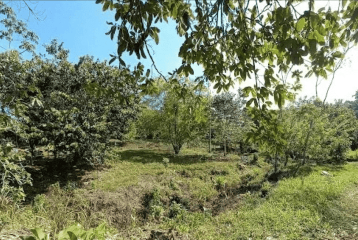 Screenshot 2024-06-17 at 10.31.00-min