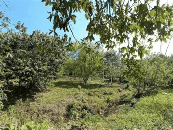 Screenshot 2024-06-17 at 10.31.00-min