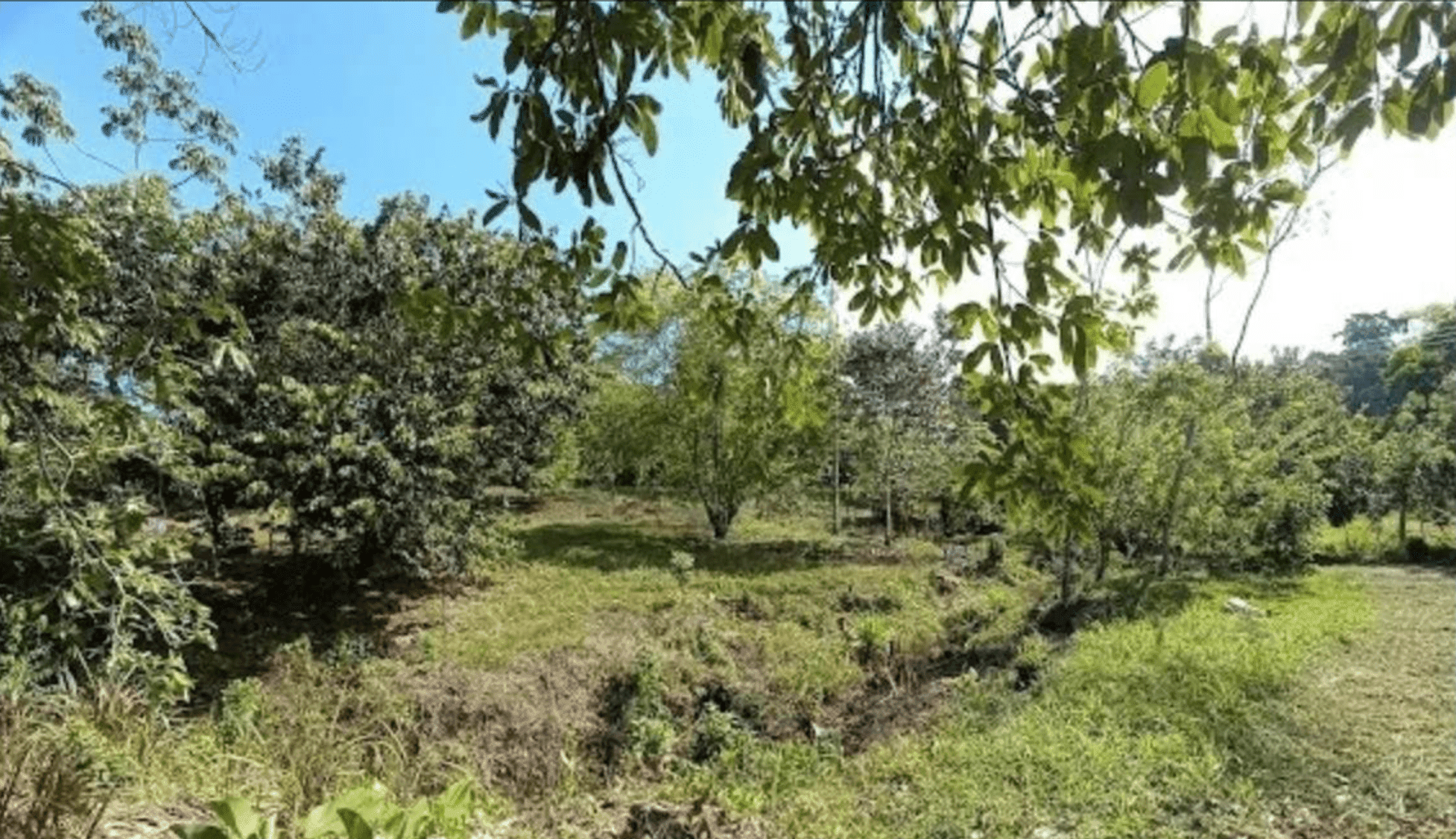 Screenshot 2024-06-17 at 10.31.00-min Screenshot 2024-06-17 at 10.31.00-min