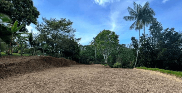 Screenshot 2024-06-17 at 10.36.54-min