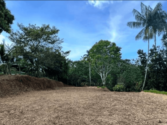 Screenshot 2024-06-17 at 10.36.54-min