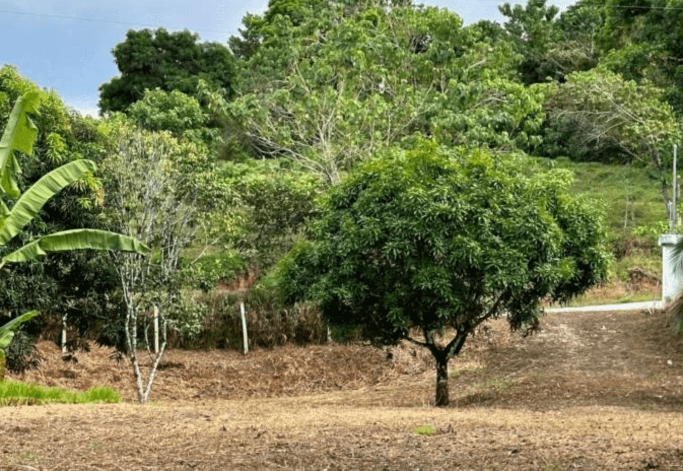 Screenshot 2024-06-17 at 10.37.02-min