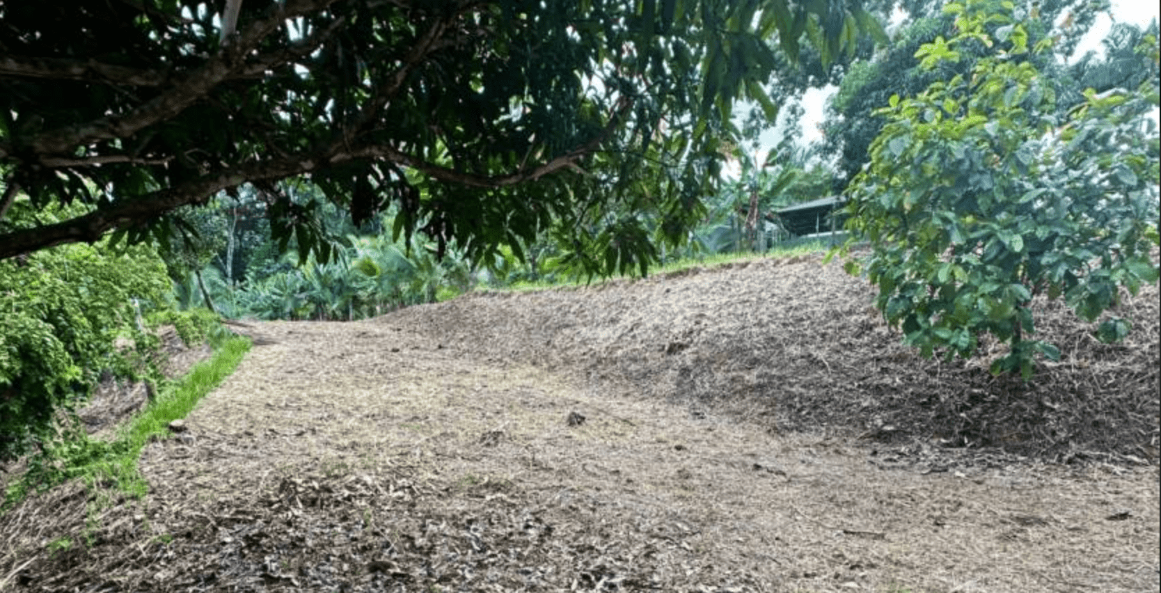 Screenshot 2024-06-17 at 10.37.17-min