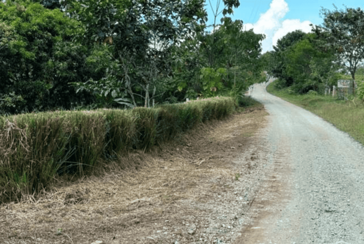 Screenshot 2024-06-17 at 10.37.30-min