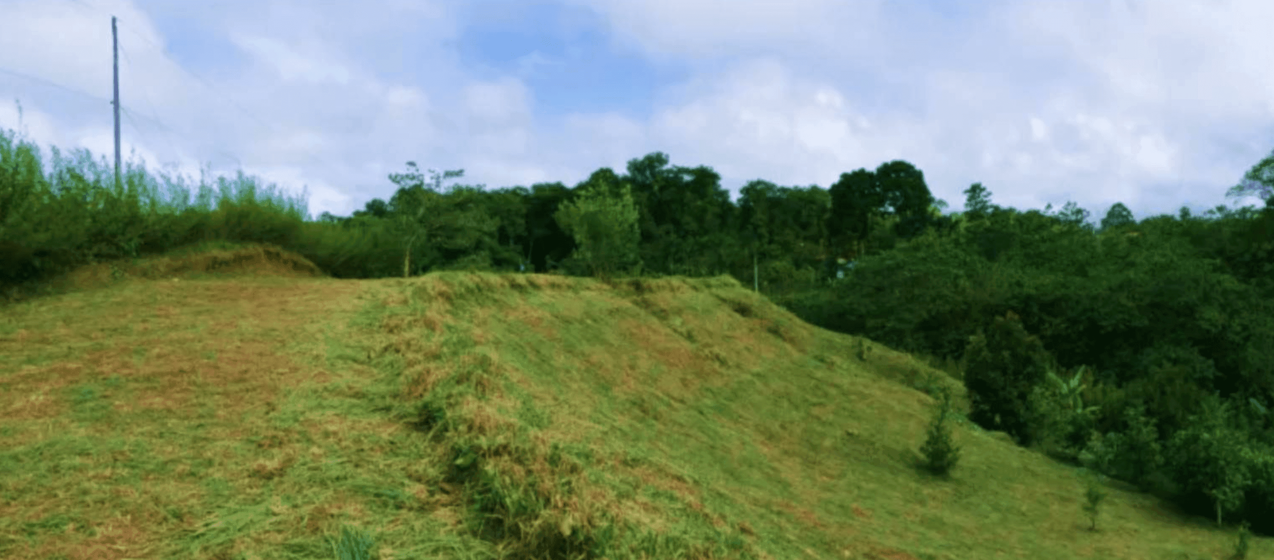 Screenshot 2024-06-17 at 10.44.01-min