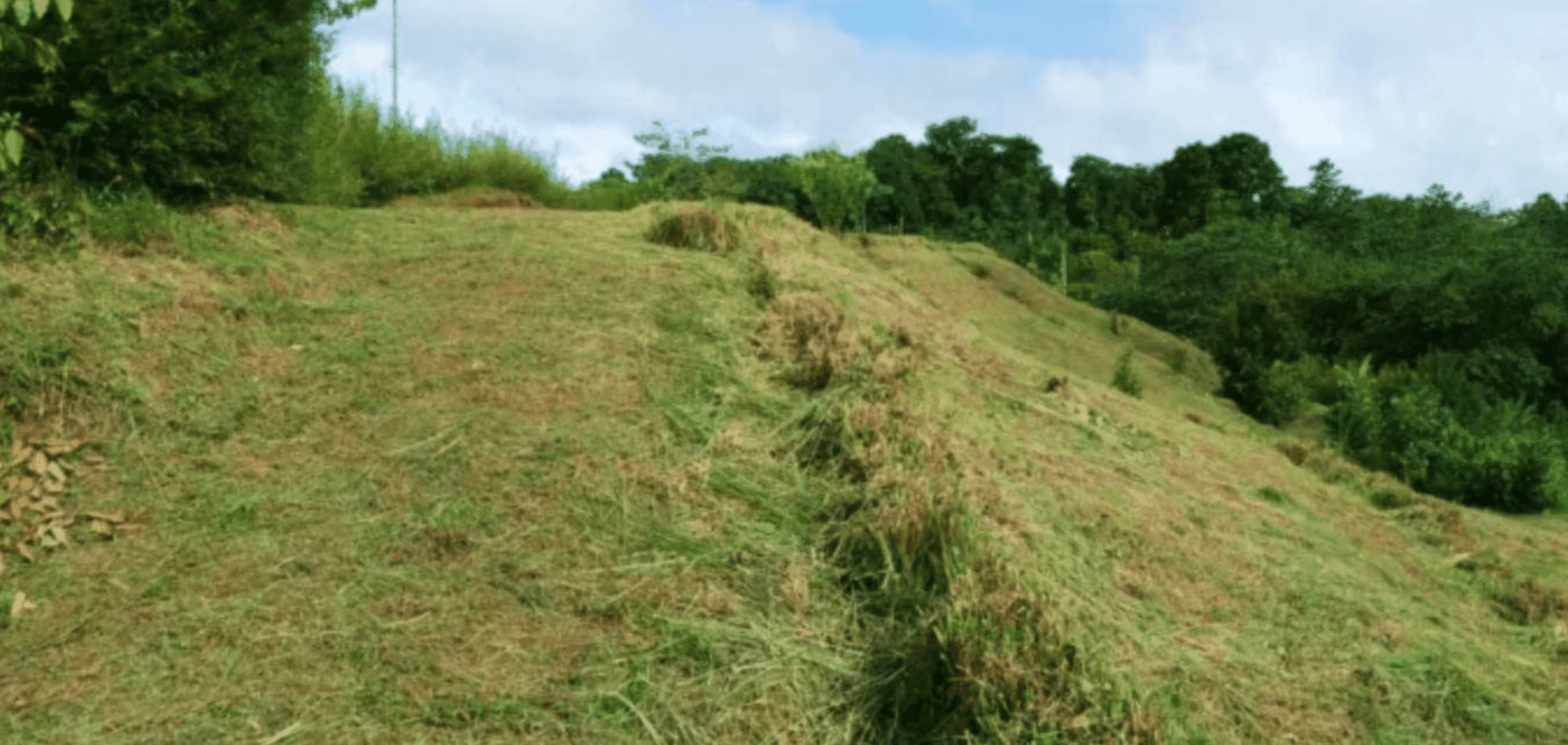 Screenshot 2024-06-17 at 10.44.17-min