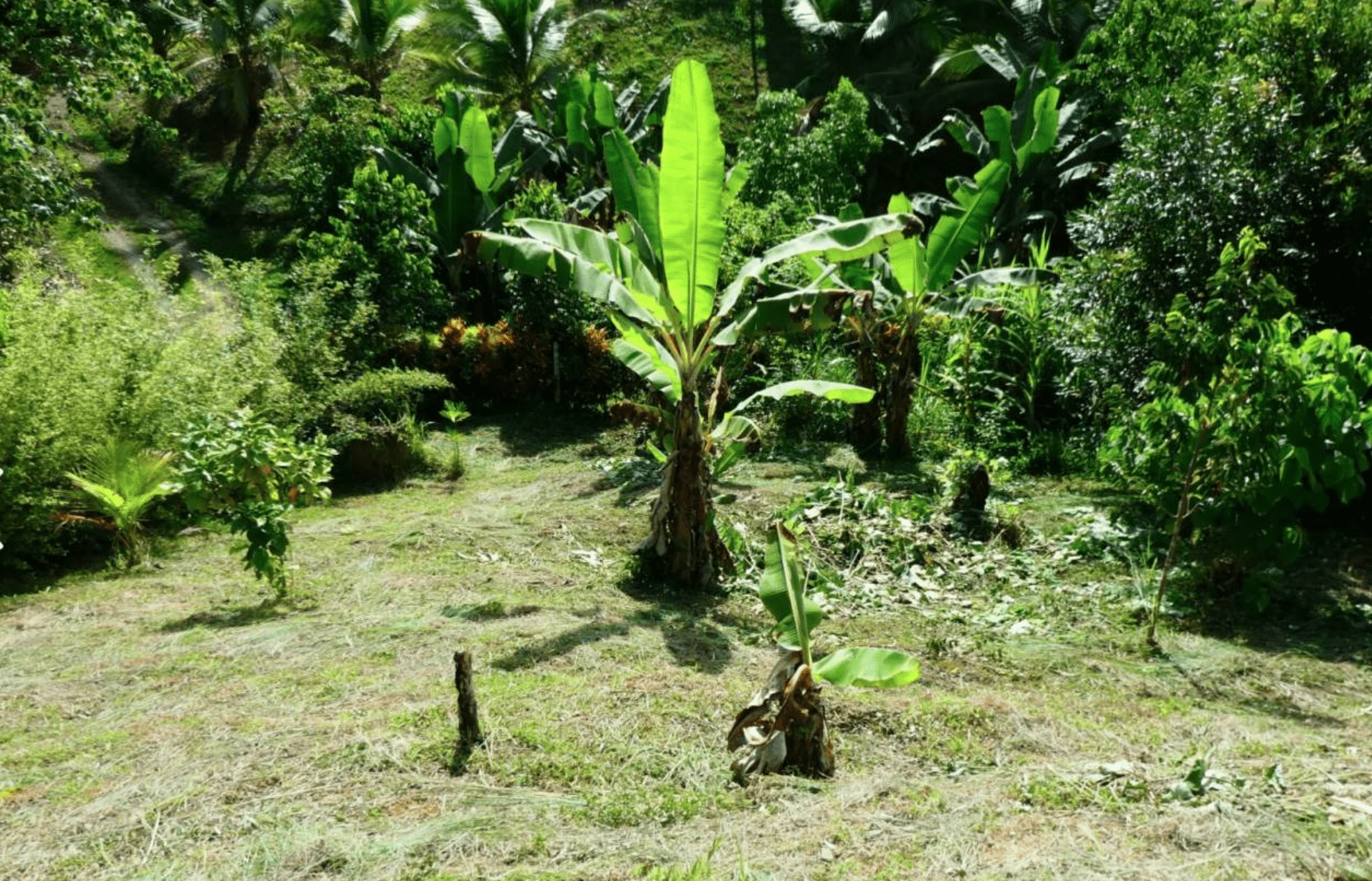 Screenshot 2024-06-17 at 10.45.23-min