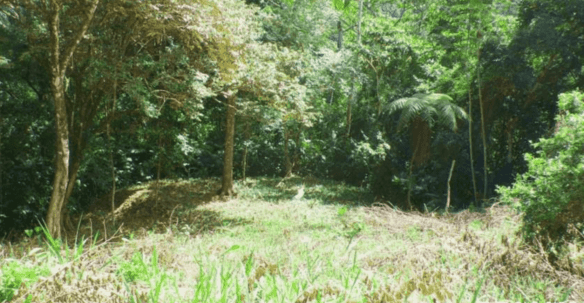 Screenshot 2024-06-17 at 11.20.43-min