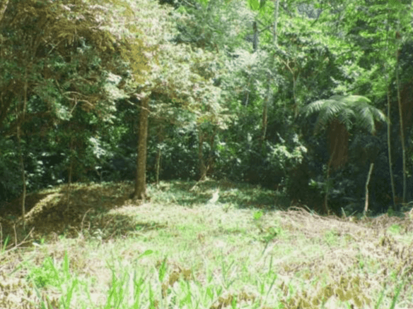 Screenshot 2024-06-17 at 11.20.43-min